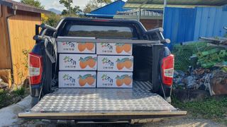 다온아띠농원 장현호님의 자유주제 · 자유게시판 작성글 사진