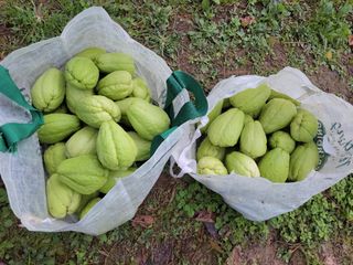 원빈님의 작성글 사진