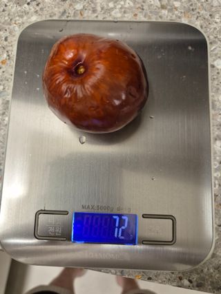 가인 5362님의 기타작물 · 영농일지 작성글 사진