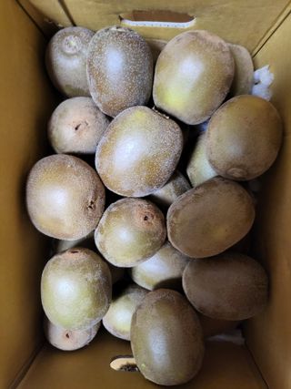 박순례님의 👀최근 산 것은? · 참여글 작성글 사진