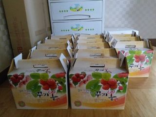 박진식님의 기타작물 · 영농일지 작성글 사진