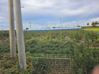 채효정님의 기타작물 · 영농일지 작성글 사진