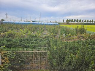 채효정님의 기타작물 · 영농일지 작성글 사진