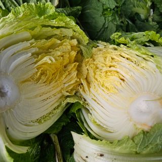 백용기님의 자유주제 · 자유게시판 작성글 사진