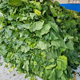 백용기님의 자유주제 · 자유게시판 작성글 사진