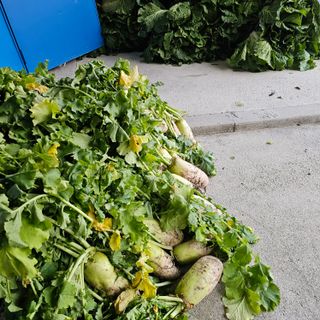 백용기님의 자유주제 · 자유게시판 작성글 사진