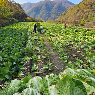 백용기님의 자유주제 · 자유게시판 작성글 사진