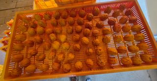 성범현님의 감 · 영농일지 작성글 사진