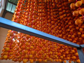 성범현님의 감 · 영농일지 작성글 사진