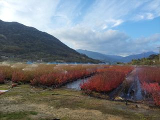 까끔이골농님의 자유주제 · 자유게시판 작성글 사진