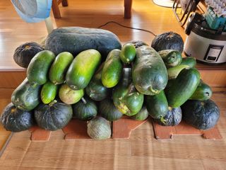 사과나무님의 작성글 사진