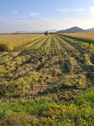 김계태 님의 농사경력 최고의 순간을 알려주세요. · 참여글 작성글 사진