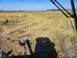 나종천님의 자유주제 · 자유게시판 작성글 사진