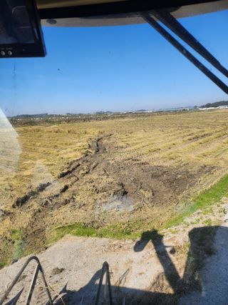 나종천님의 자유주제 · 자유게시판 작성글 사진