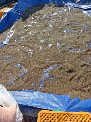 박영선님의 들깨 · 영농일지 작성글 사진