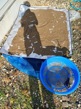 박영선님의 들깨 · 영농일지 작성글 사진