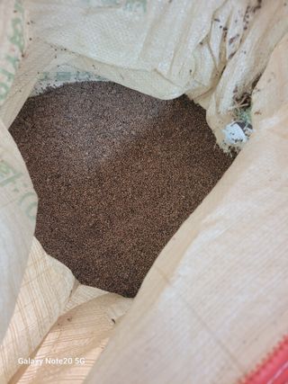 와룡산백곰님의 작성글 사진