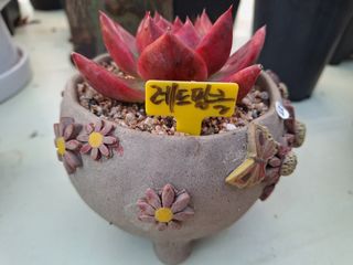 장지영님의 작성글 사진