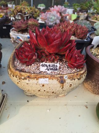 장지영님의 작성글 사진