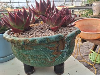 장지영님의 작성글 사진