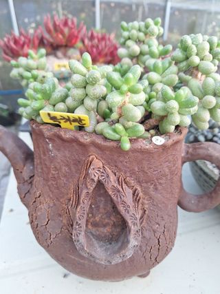 장지영님의 작성글 사진