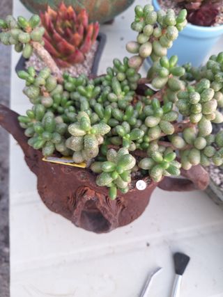 장지영님의 작성글 사진