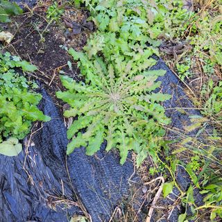 권ㅇㅎ님의 자유주제 · 자유게시판 작성글 사진