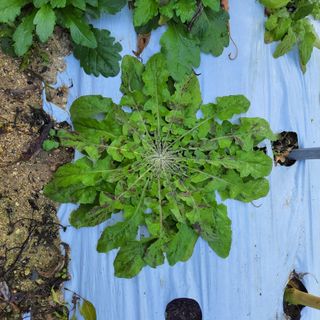 권ㅇㅎ님의 자유주제 · 자유게시판 작성글 사진