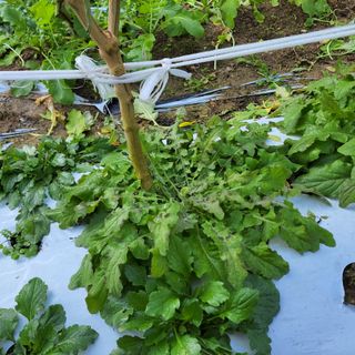 권ㅇㅎ님의 자유주제 · 자유게시판 작성글 사진