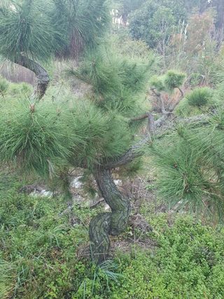 알 수 없음님의 자유주제 · 자유게시판 작성글 사진