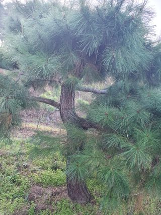 알 수 없음님의 자유주제 · 자유게시판 작성글 사진