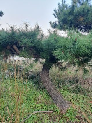 알 수 없음님의 자유주제 · 자유게시판 작성글 사진