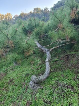 알 수 없음님의 자유주제 · 자유게시판 작성글 사진