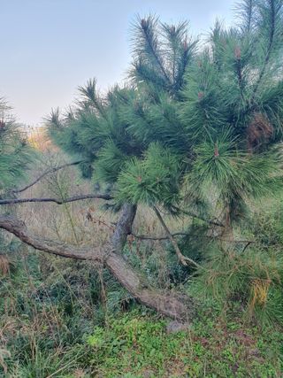 알 수 없음님의 자유주제 · 자유게시판 작성글 사진