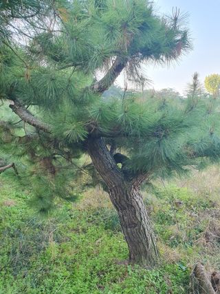 알 수 없음님의 자유주제 · 자유게시판 작성글 사진