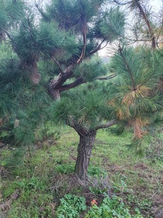 알 수 없음님의 자유주제 · 자유게시판 작성글 사진