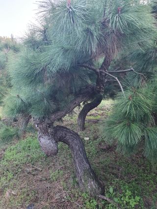 알 수 없음님의 자유주제 · 자유게시판 작성글 사진