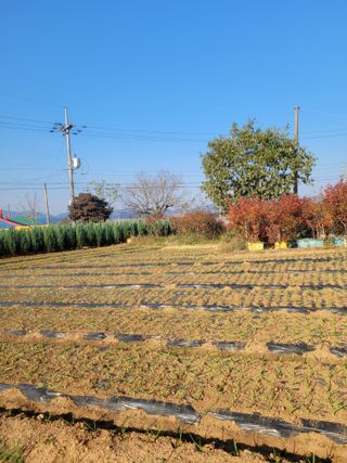 이상숙님의 자유주제 · 자유게시판 작성글 사진