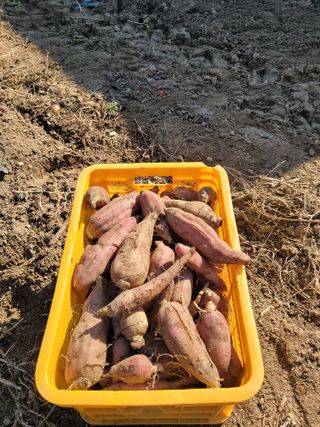 최기인님의 자유주제 · 자유게시판 작성글 사진