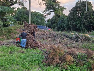 새달귤농장님의 귤 · 영농일지 작성글 사진
