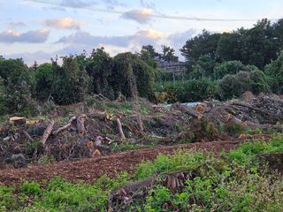 새달귤농장님의 귤 · 영농일지 작성글 사진