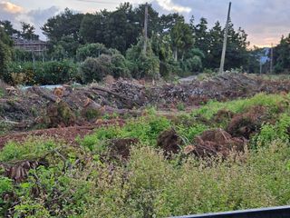 새달귤농장님의 귤 · 영농일지 작성글 사진