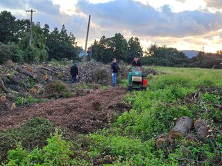 새달귤농장님의 귤 · 영농일지 작성글 사진