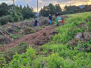 새달귤농장님의 귤 · 영농일지 작성글 사진