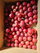 팜모닝 농사경력 최고의 순간을 알려주세요.·참여글 게시글 이미지