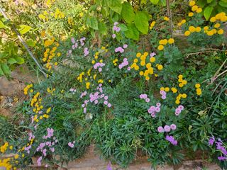 감자20359님의 농사경력 최고의 순간을 알려주세요. · 참여글 작성글 사진