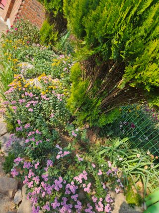 감자20359님의 농사경력 최고의 순간을 알려주세요. · 참여글 작성글 사진