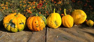 정진해님의 자유주제 · 자유게시판 작성글 사진