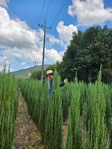 팜모닝 · 게시글 이미지