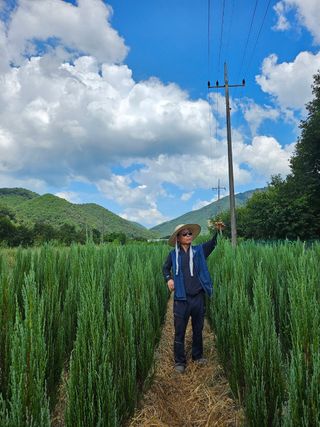 오색땅콩님의 작성글 사진